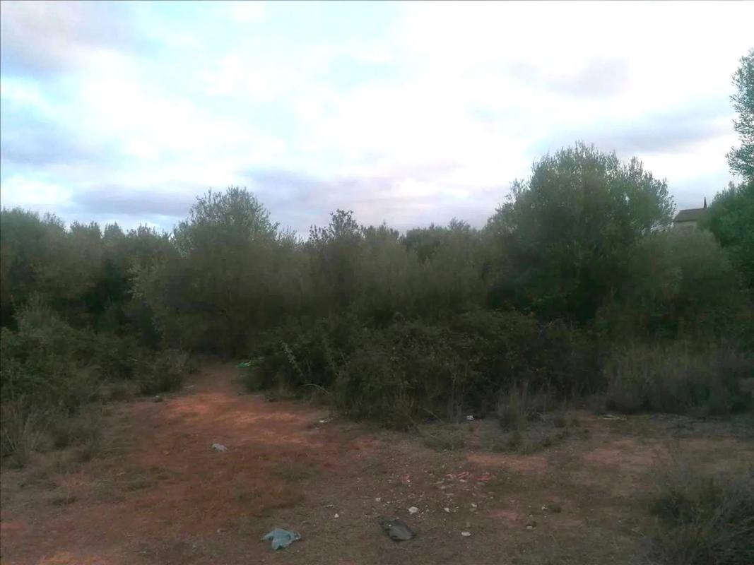 Land for sale in La Pobla de Vallbona, Valencia photo 5