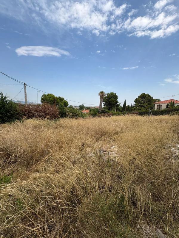 Land for sale in La Pobla de Vallbona, Valencia photo 2