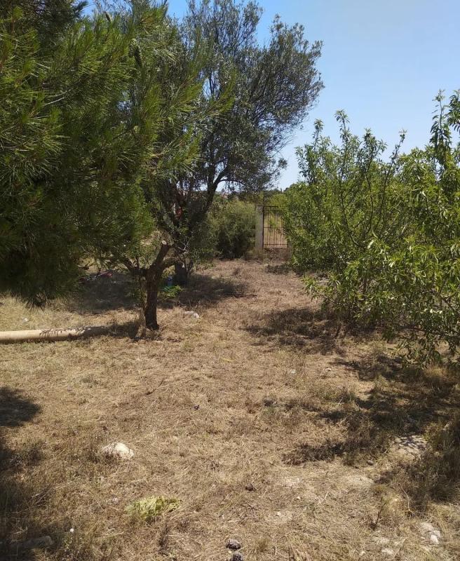 Terreno en venta en Llíria, Valencia photo 3