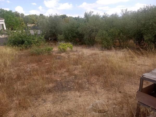 Terreno en Diseminado P034 photo 1
