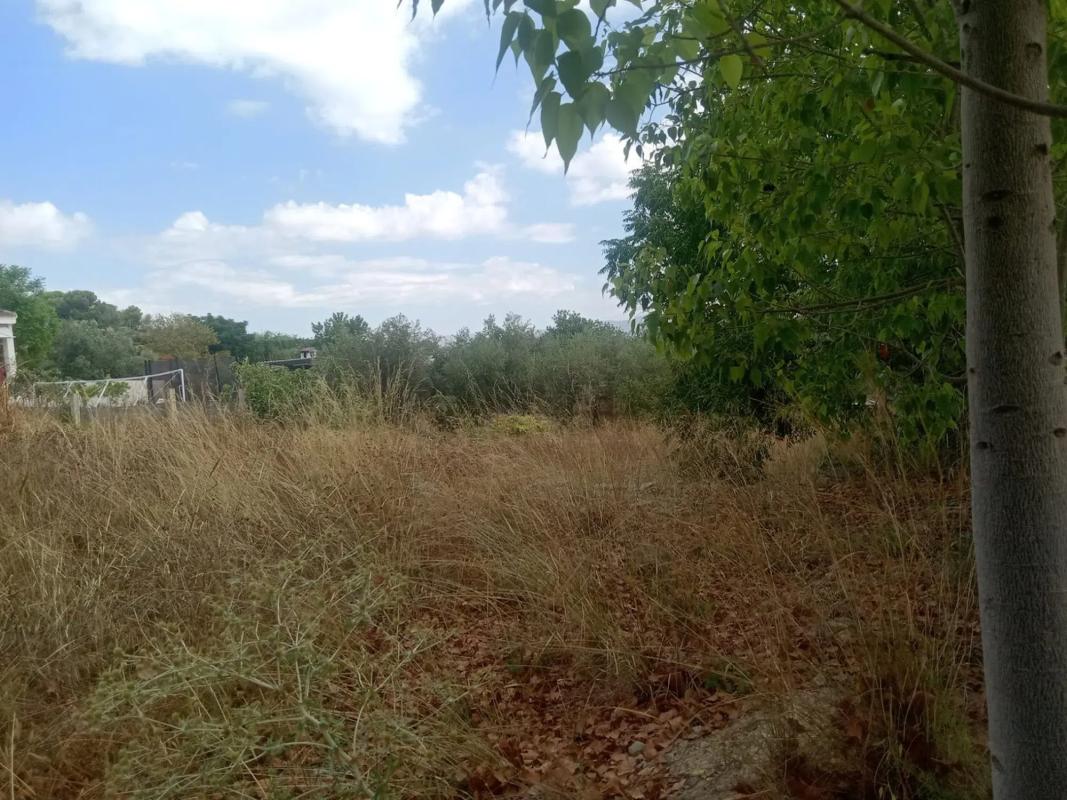 Участок земли на продажу в Ллирия, Валенсия photo 3