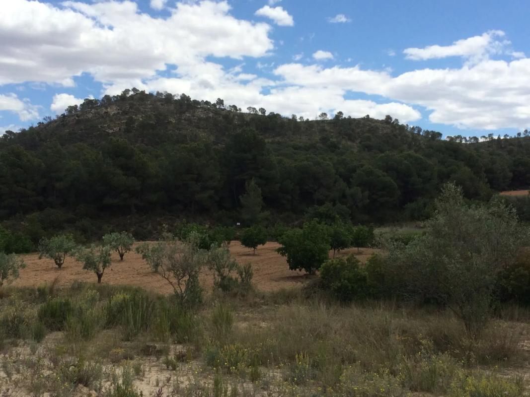 Land for sale in Llíria, Valencia photo 3