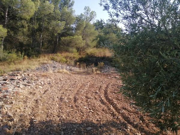 Terreno en Poligono 60, parcela 129 s/n carreteralliriaalcublas photo 1