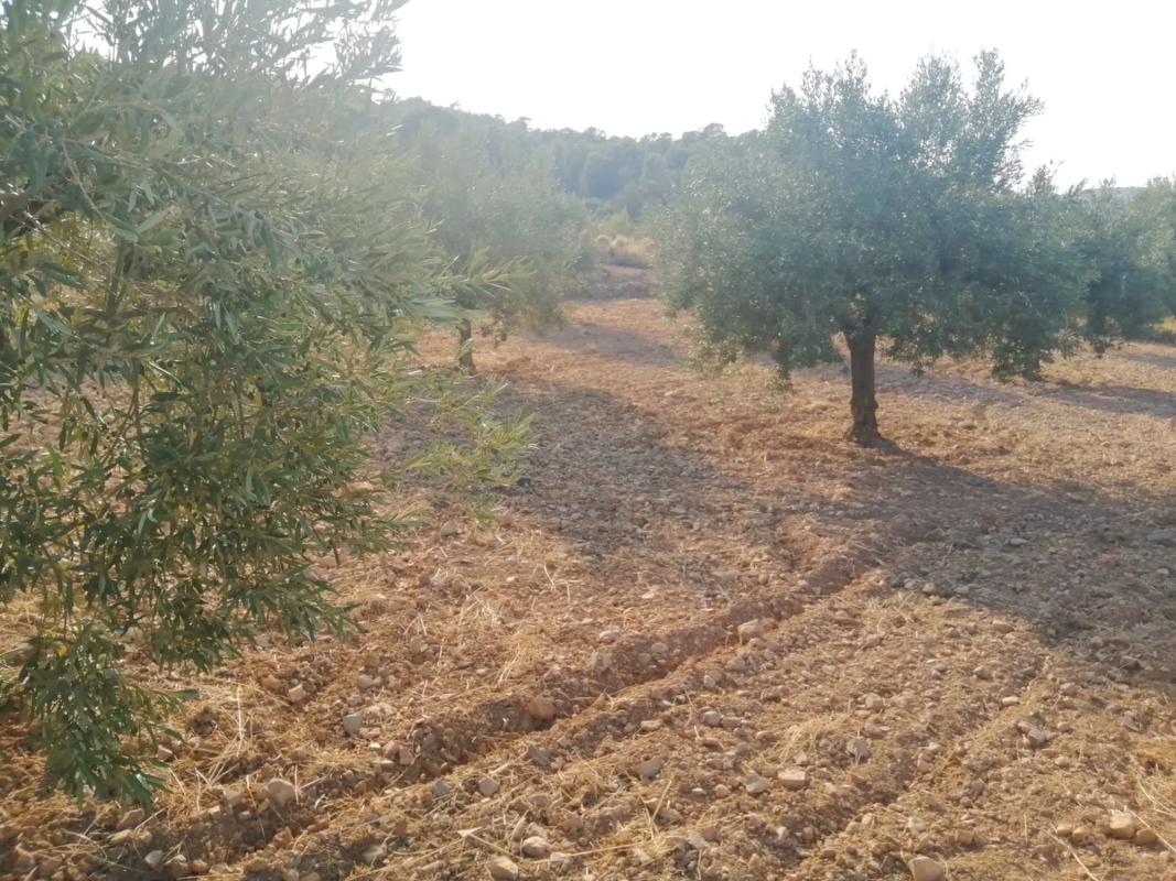 Terreno en venta en Llíria, Valencia photo 3