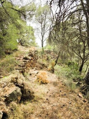Terreno en calle Canteres, 18 photo 2
