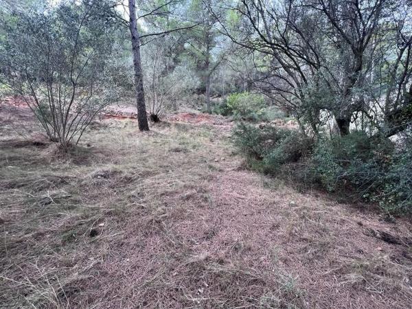 Terreno en camino Campamento photo 2