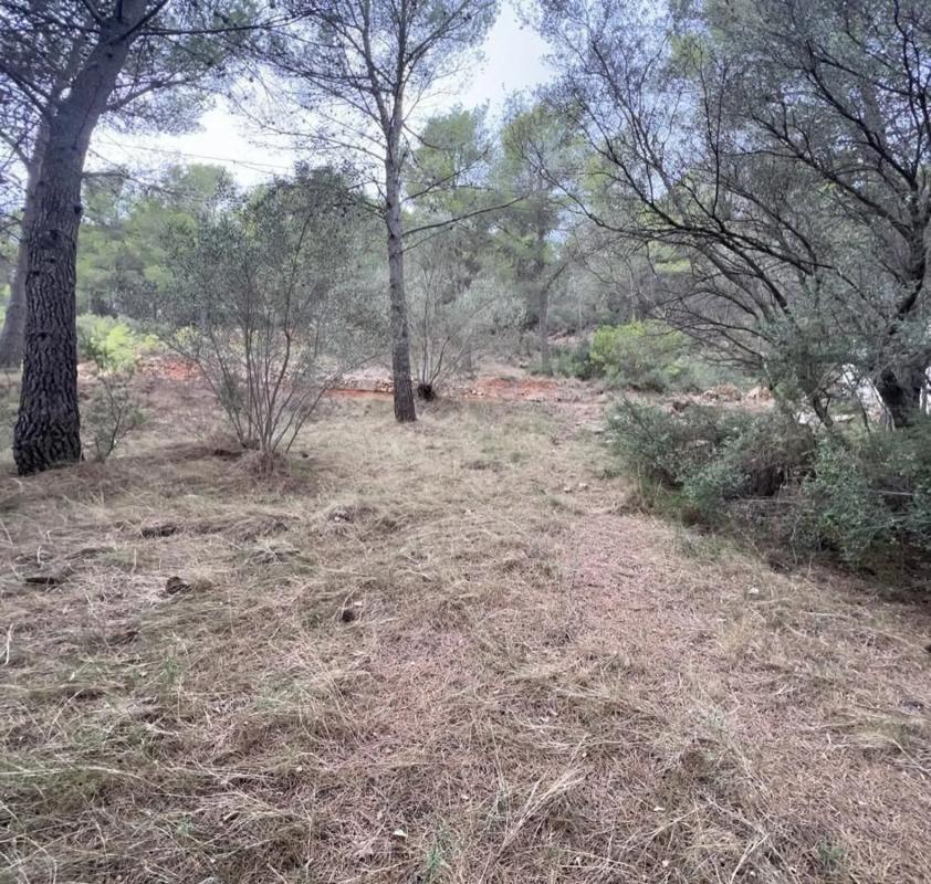 Land for sale in Serra, Valencia photo 4