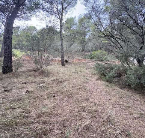 Terreno en camino Campamento photo 4