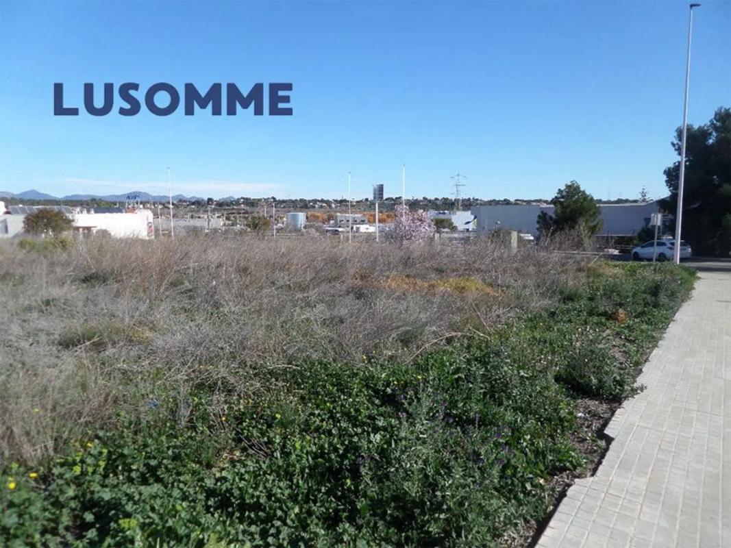 Terreno en venta en San Antonio de Benagéber, Valencia photo 5