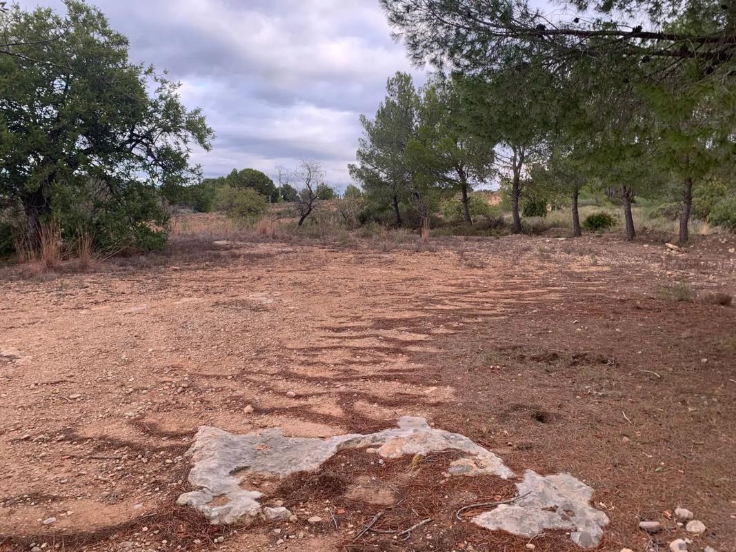 Terreno en venta en Bétera, Valencia photo 5