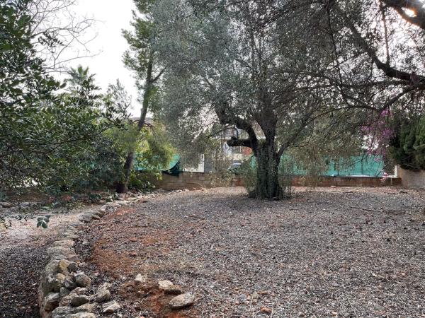 Terreno en Riba-Roja de Túria photo 4