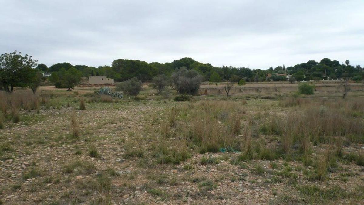Terreno en venta en Bétera, Valencia photo 5