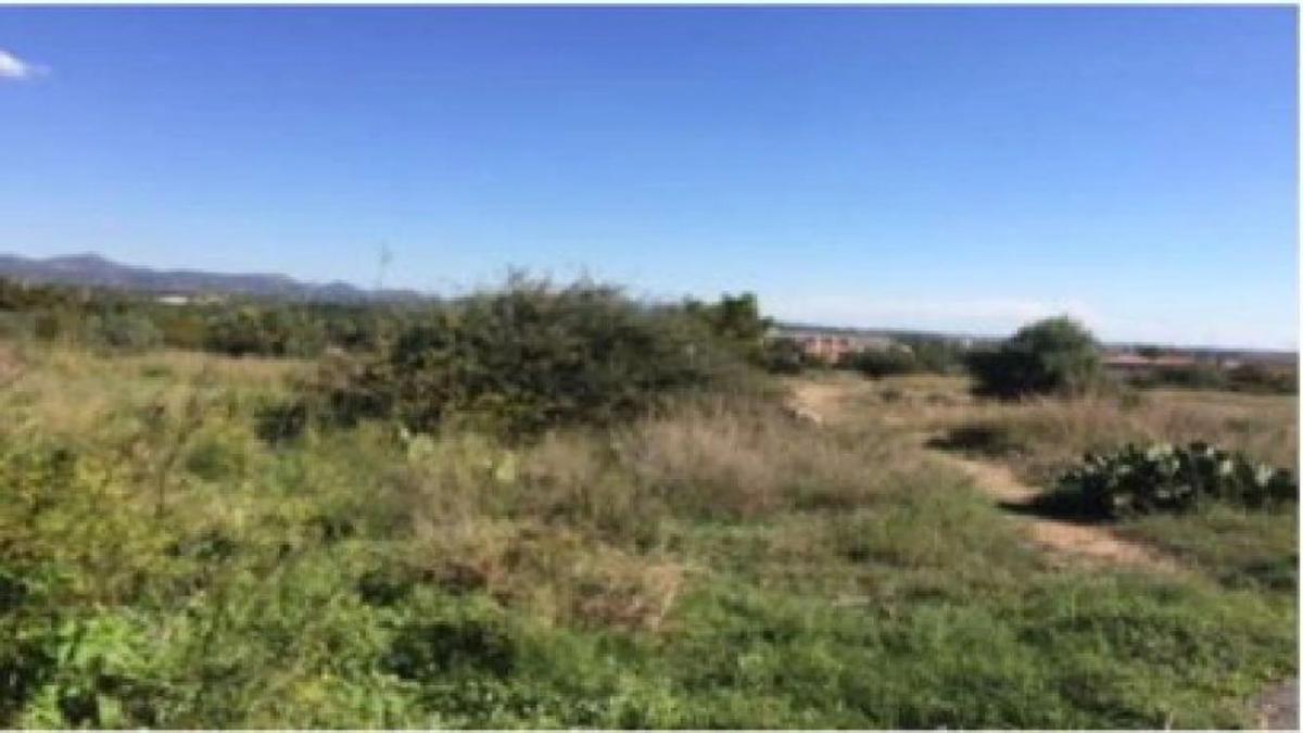 Terreno en venta en Bétera, Valencia photo 4