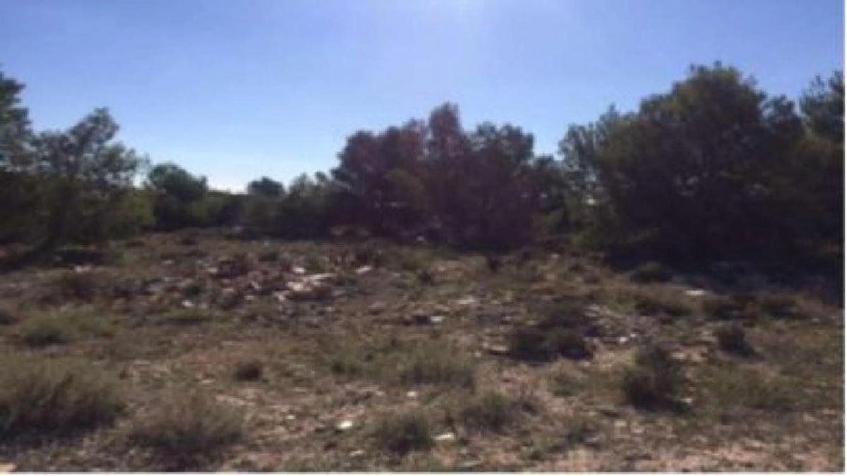 Terreno en venta en Bétera, Valencia photo 5