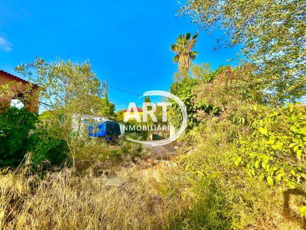 Terreno en calle Sant Miquel, 58 photo 4