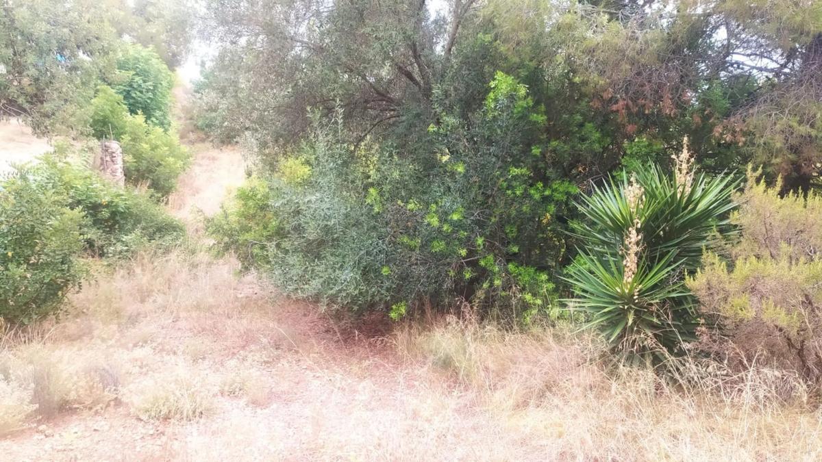 Terreno en venta en Olocau, Valencia photo 2