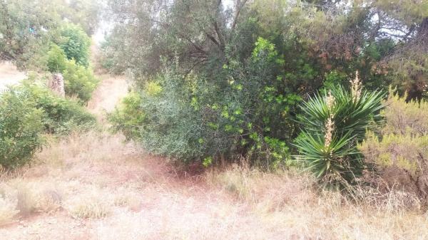 Terreno en Olocau photo 2