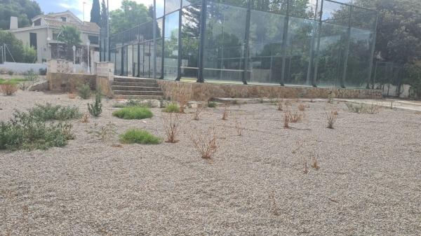 Terreno en Montealegre photo 1