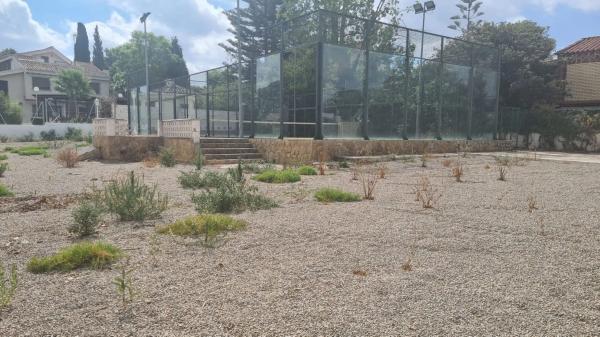 Terreno en Montealegre photo 2