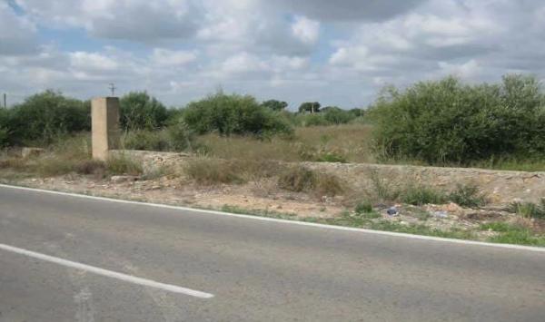 Terreno en carretera Ribarroja Gallipont photo 2