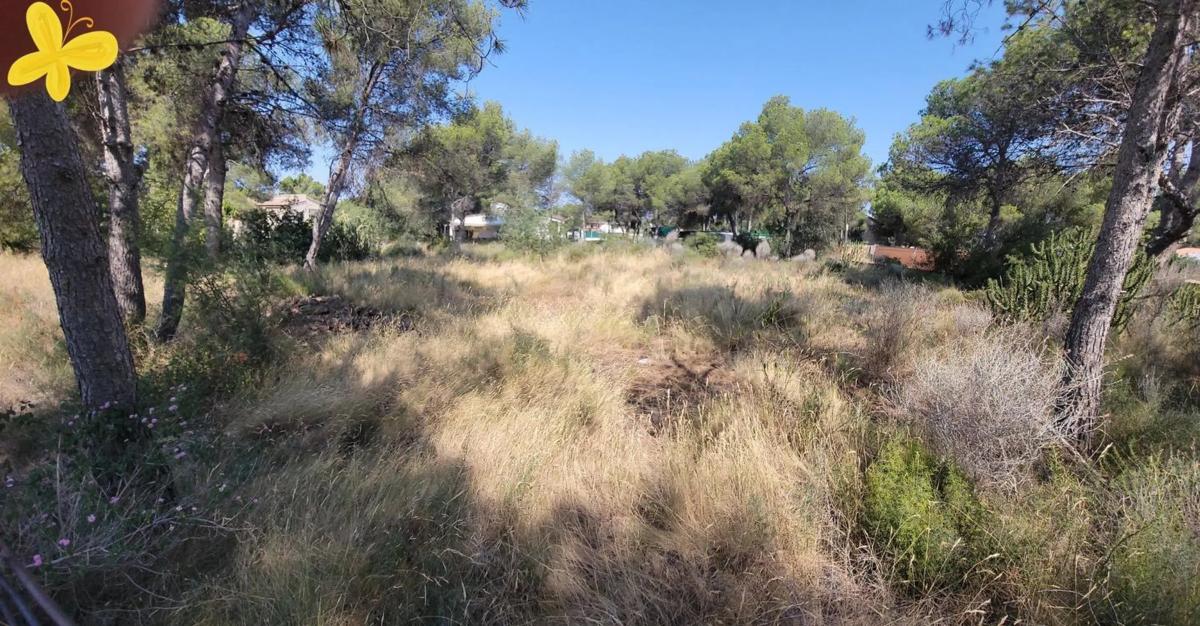 Terreno en venta en Olocau, Valencia photo 1
