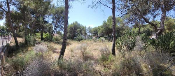 Terreno en Olocau photo 3