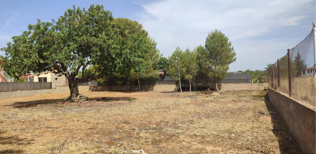 Land for sale in Marines, Valencia photo 3