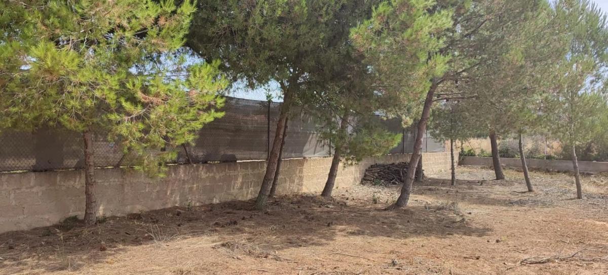Land for sale in Marines, Valencia photo 4