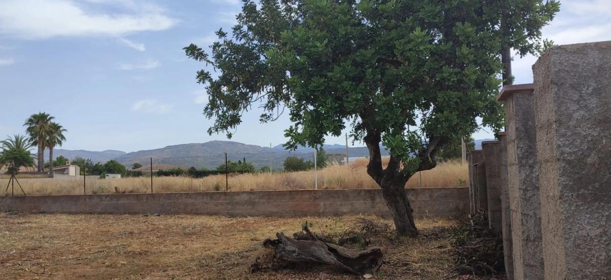 Land for sale in Marines, Valencia photo 5