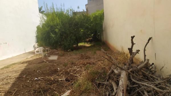 Terreno en Centro photo 4