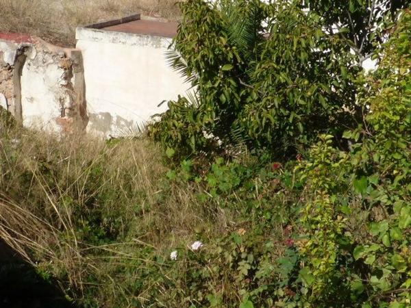 Terreno en Vilamarxant photo 1