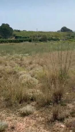Terreno en Noria polígono 24, 7 photo 2
