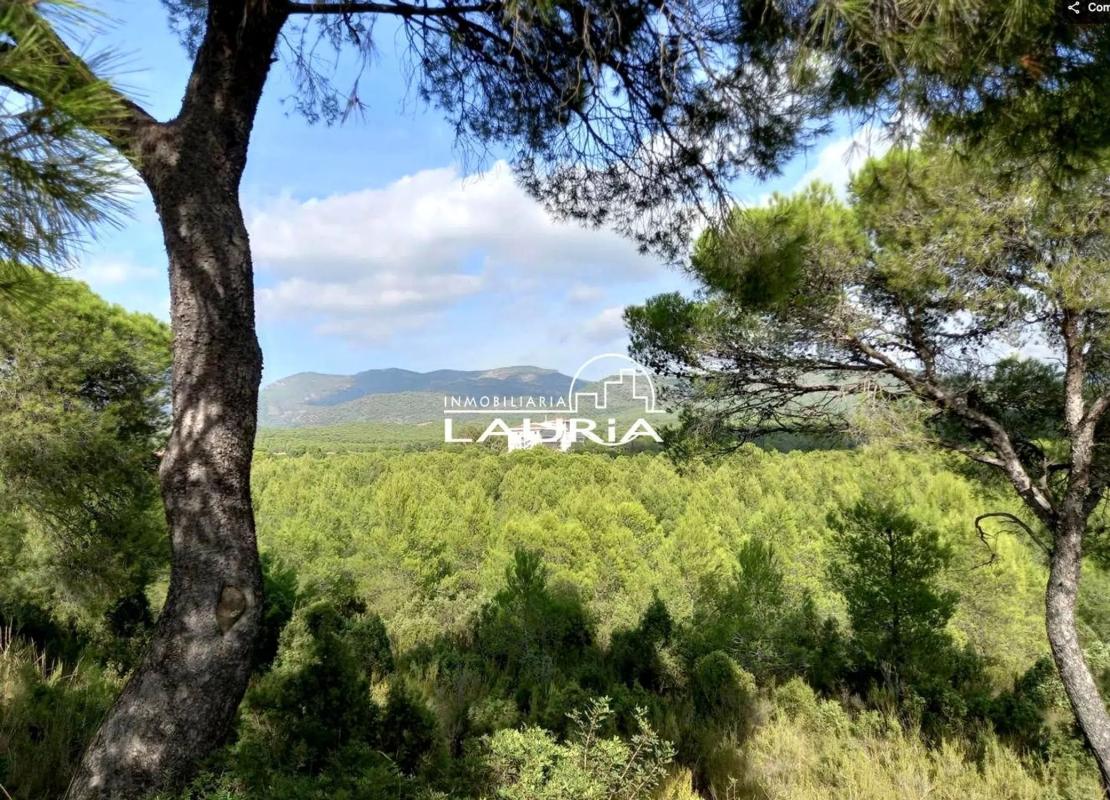Terreno en venta en Bétera, Valencia photo 2