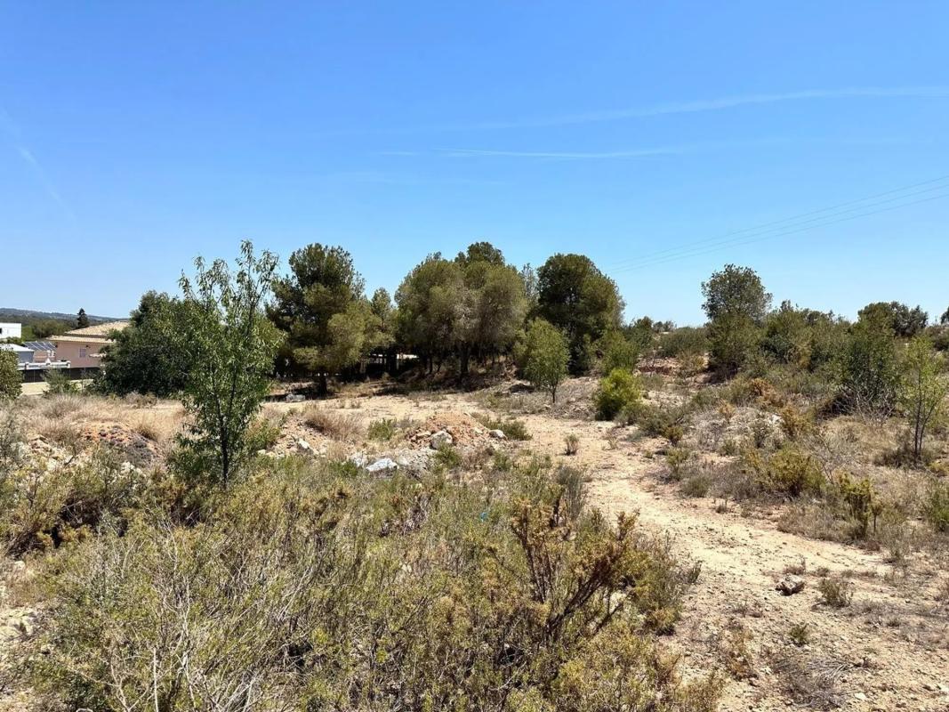 Terreno en venta en La Pobla de Vallbona, Valencia photo 3
