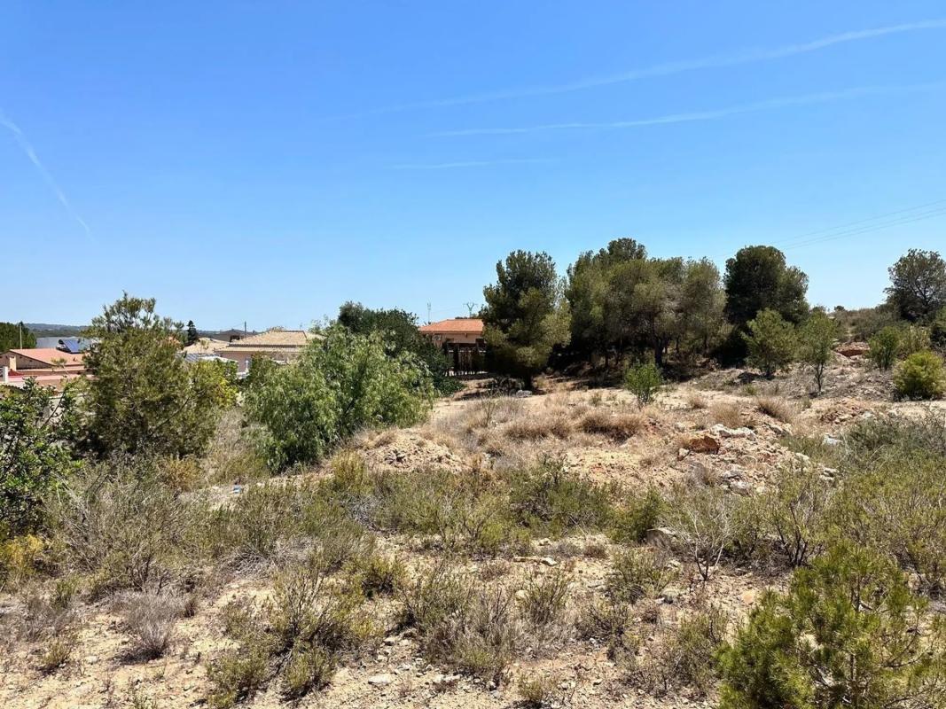Terreno en venta en La Pobla de Vallbona, Valencia photo 4