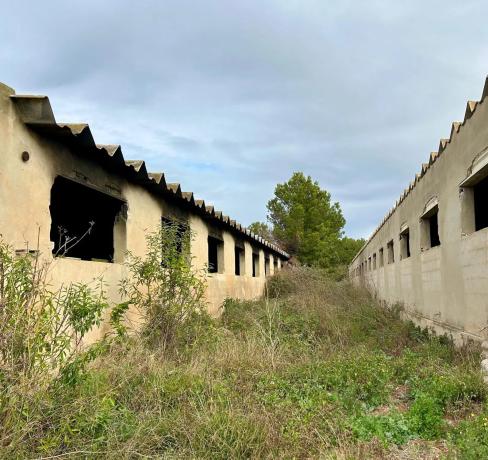Terreno en Los Pinares-La Masía photo 1
