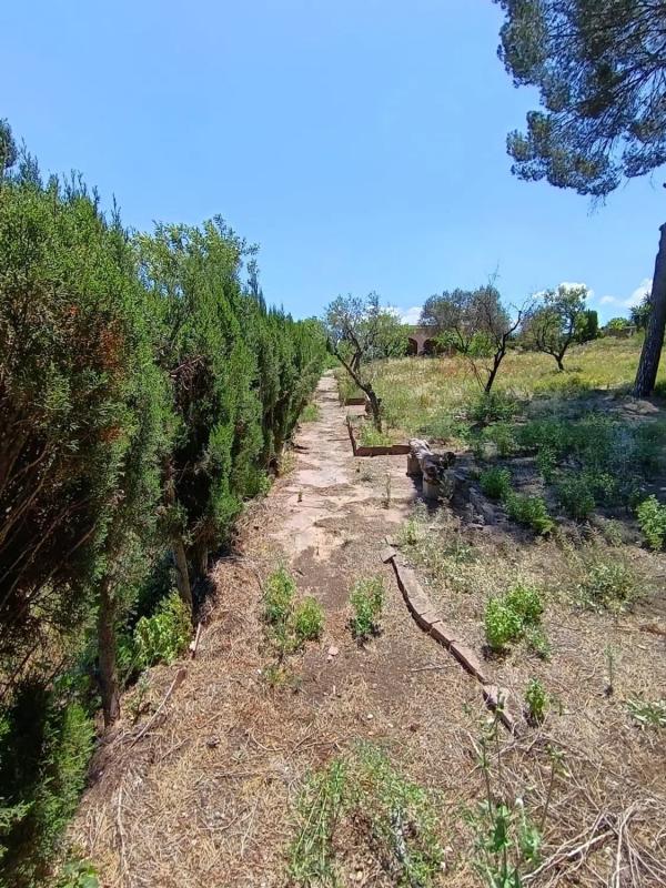 Terreno en venta en Bétera, Valencia photo 2