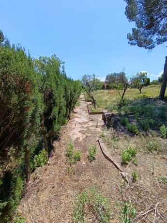 Terreno en Urbanizacion Mas Camarena thumbnail 1