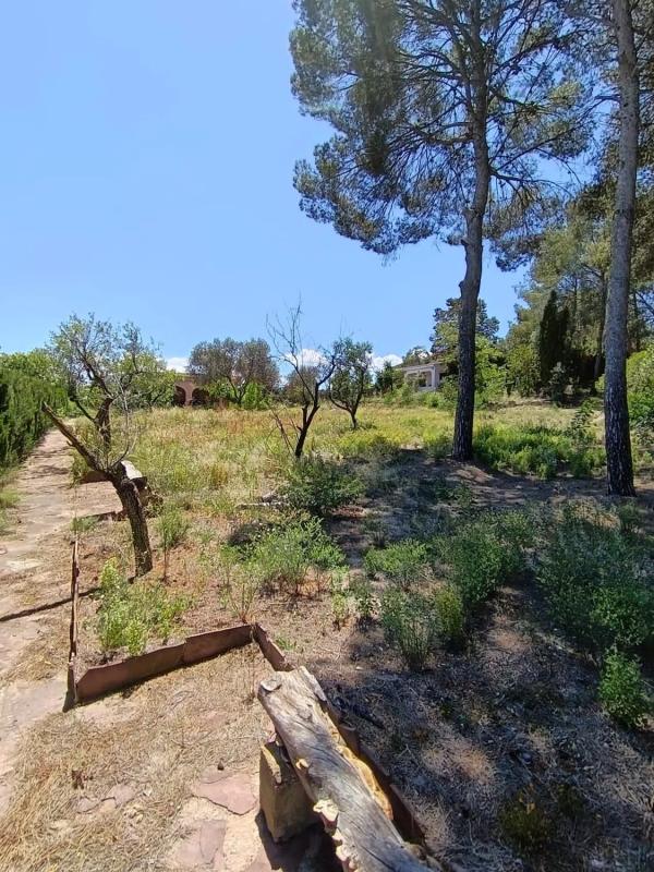 Terreno en venta en Bétera, Valencia photo 3