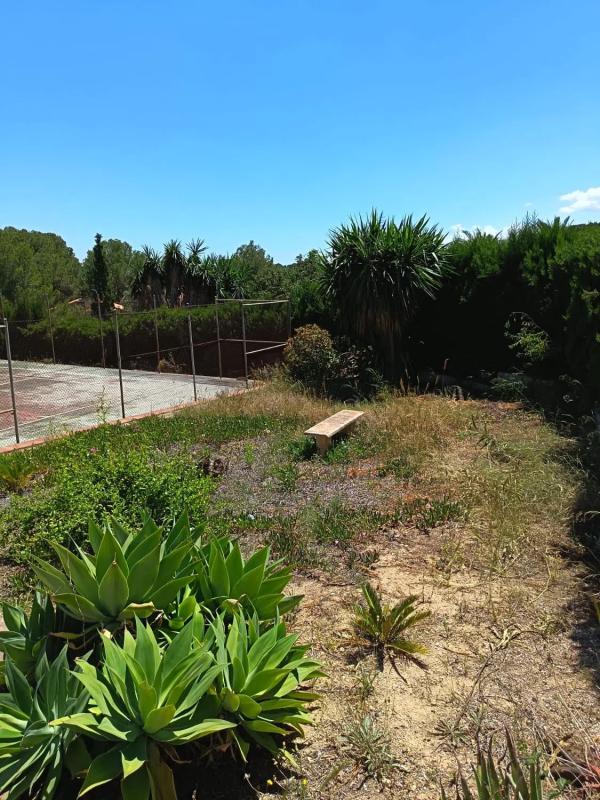 Terreno en venta en Bétera, Valencia photo 4