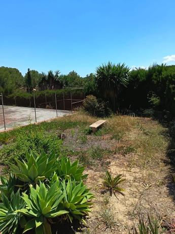 Terreno en Urbanizacion Mas Camarena photo 4