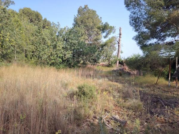 Terreno en Parque de la Bombilla-Pla de Rascanya photo 2