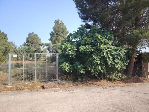 Terreno en Parque de la Bombilla-Pla de Rascanya photo 4