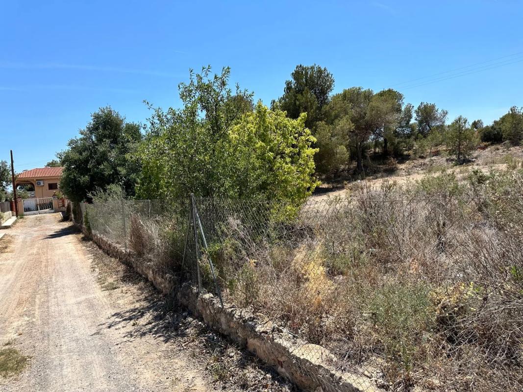 Land for sale in La Pobla de Vallbona, Valencia photo 4