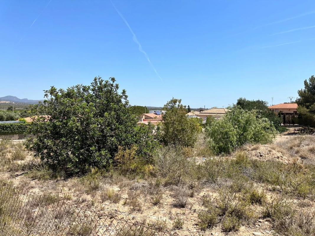 Land for sale in La Pobla de Vallbona, Valencia photo 5
