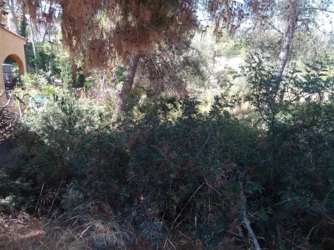 Terreno en venta en Vilamarxant, Valencia photo 4