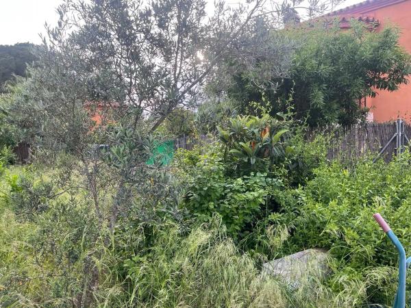 Terreno en Montesol photo 4