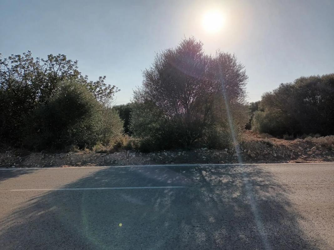 Land for sale in La Pobla de Vallbona, Valencia photo 3