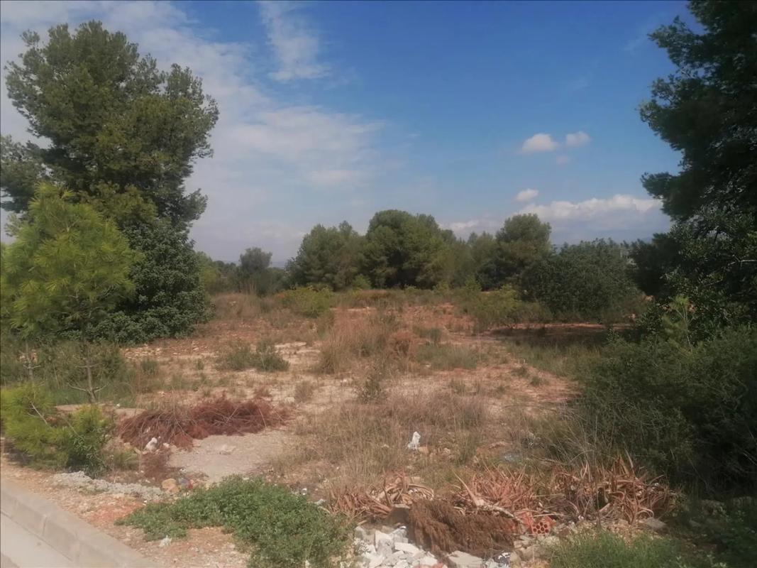 Land for sale in La Pobla de Vallbona, Valencia photo 4