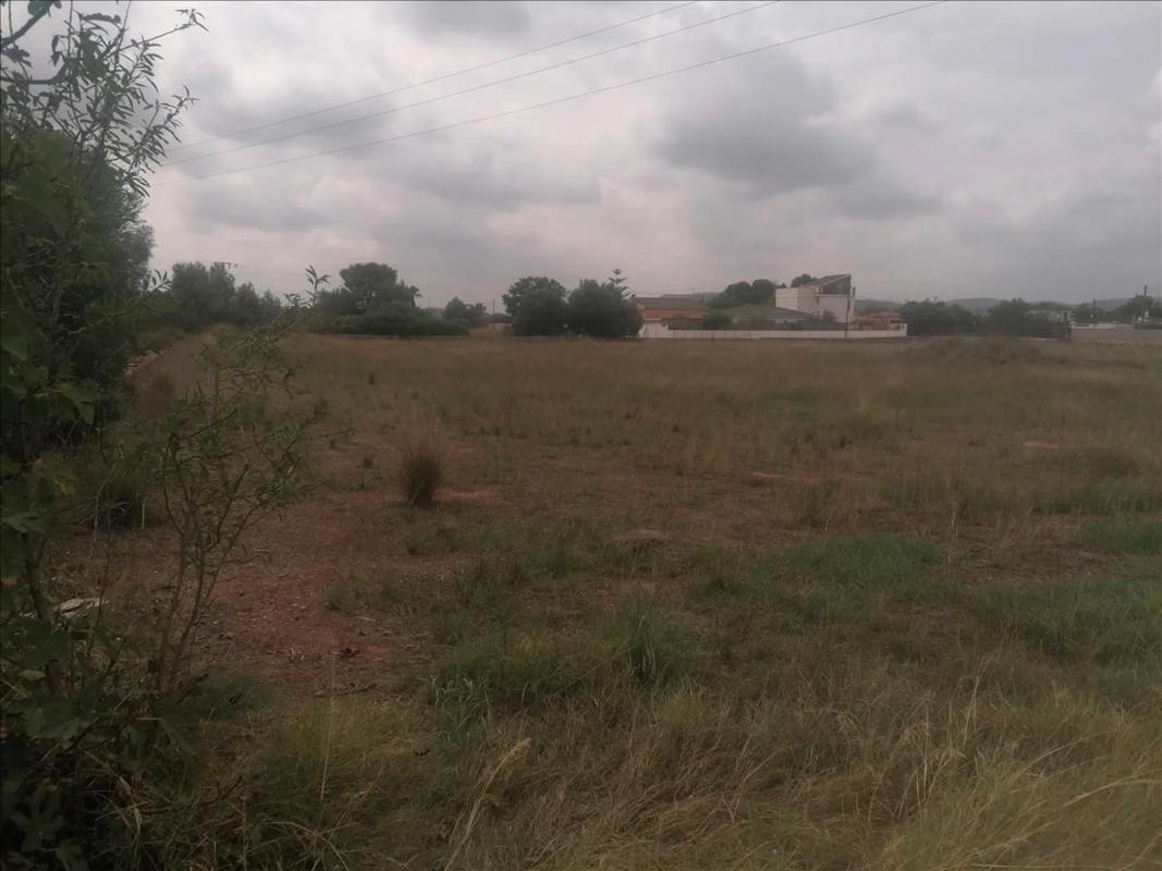 Land for sale in La Pobla de Vallbona, Valencia photo 5